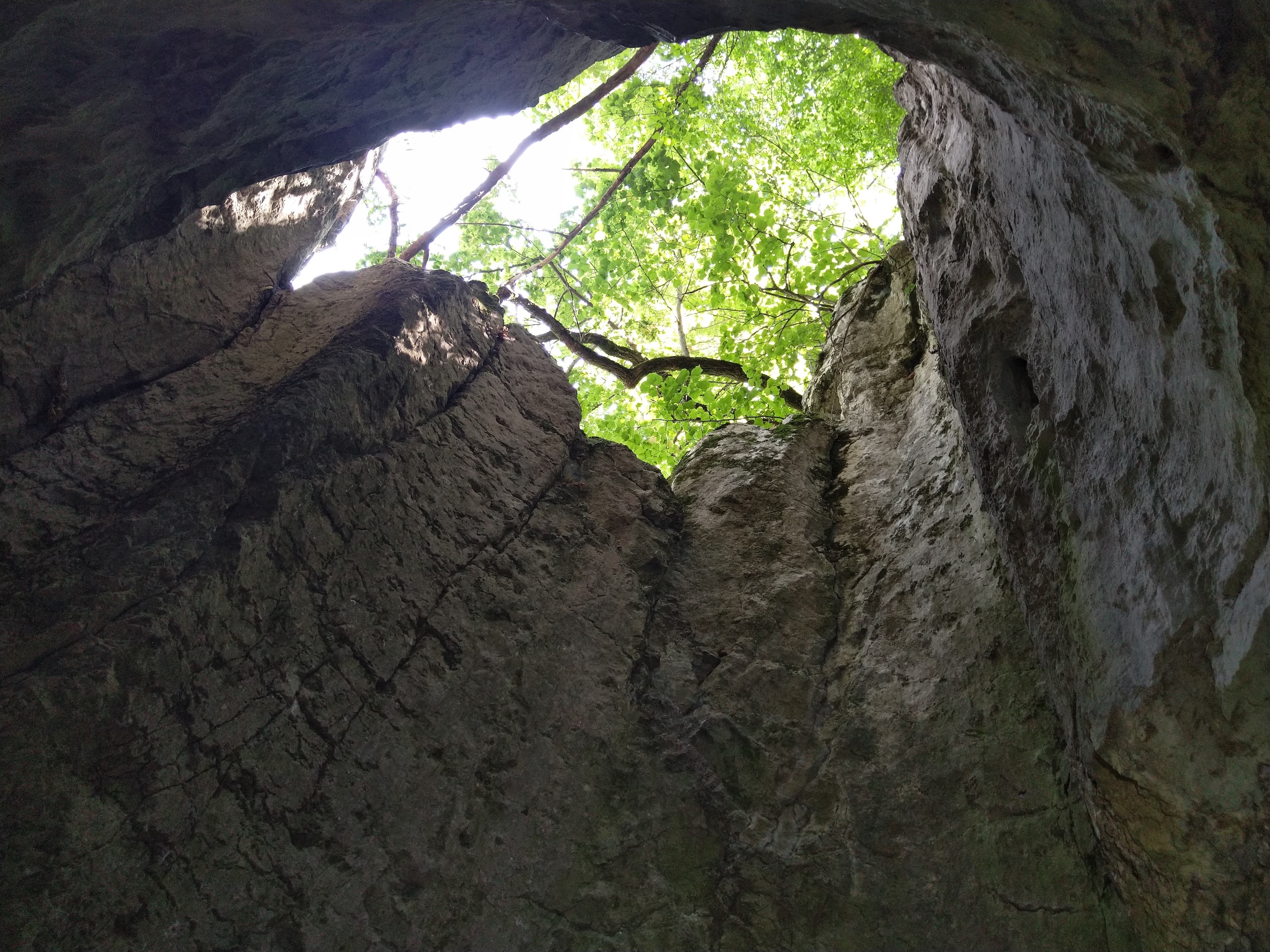 Peștera Toplița Nr.3 - Image 2